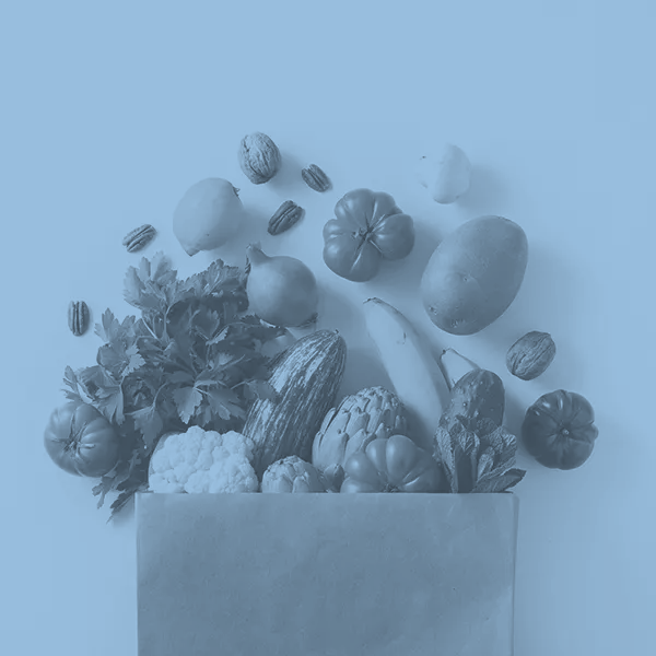 Kernel Group PXF 2024